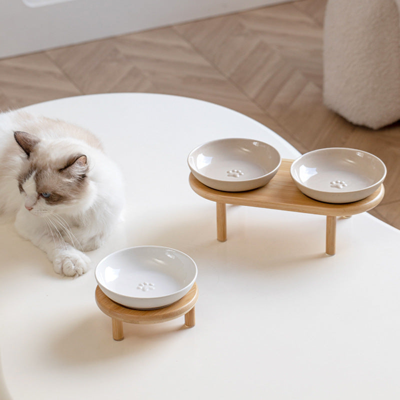 Cat Corner Organisation