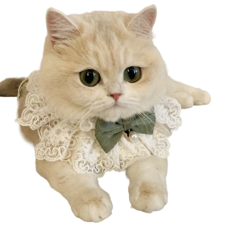 Cute Princess Lace Pet Bib, Delicate Pure Romance Lace Bandana for Dogs and Cats  | Paws2Q