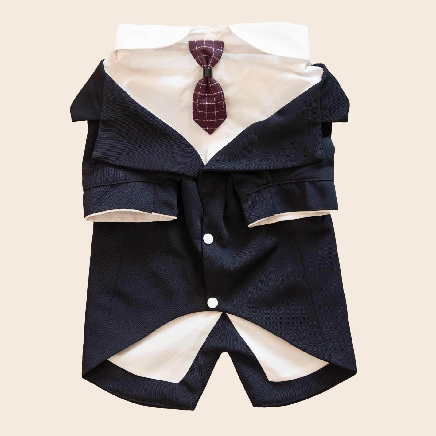 Dapper Dogs: Styling Your Pets in Dog Suits and Ties for Special Occasions | Paws2Q