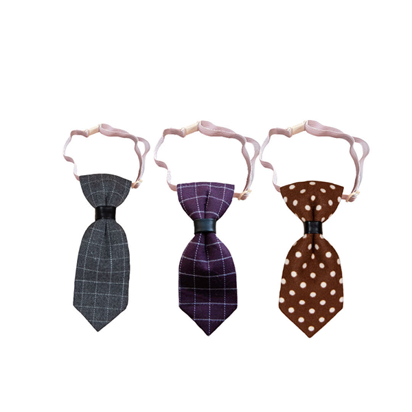 Dapper Dogs: Styling Your Pets in Dog Suits and Ties for Special Occasions | Paws2Q